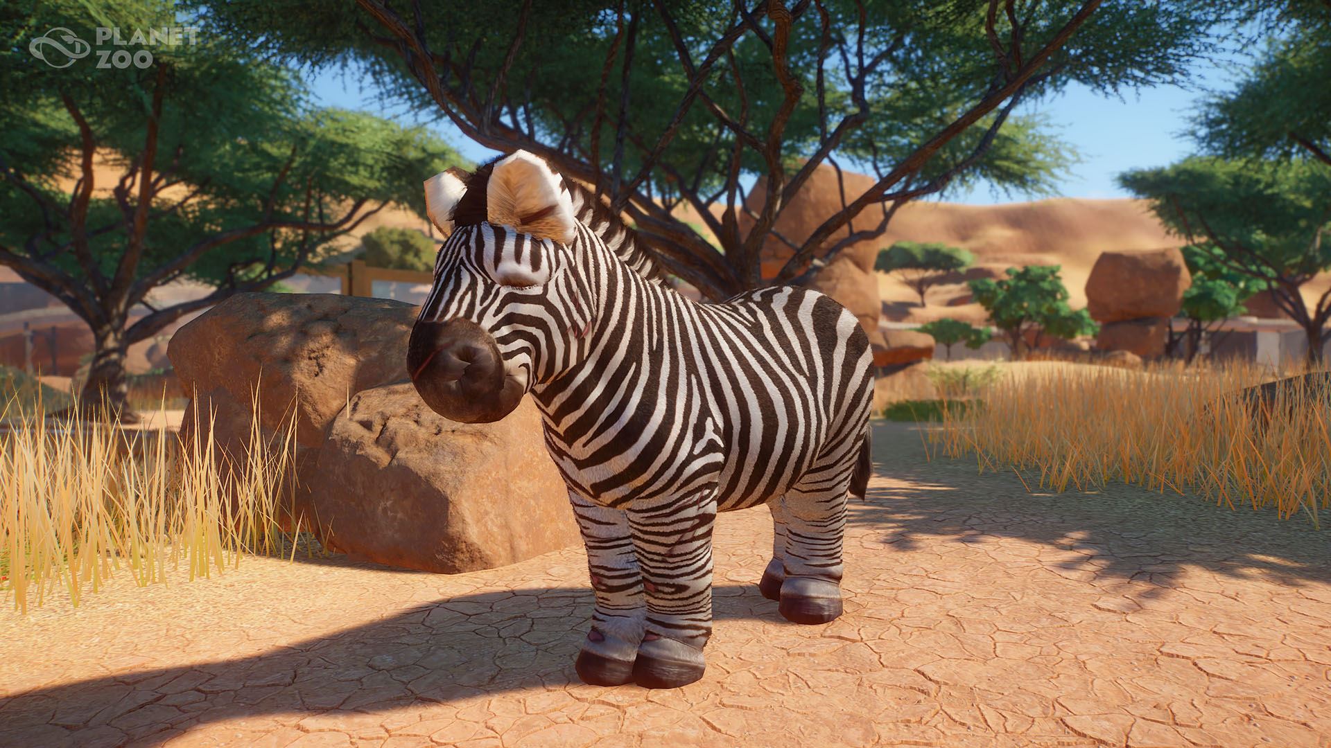 download planet zoo animal for free
