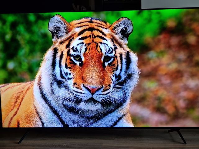 TCL 65T8B - hern TV za dobr cenu