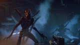zber z hry Alien: Rogue Incursion