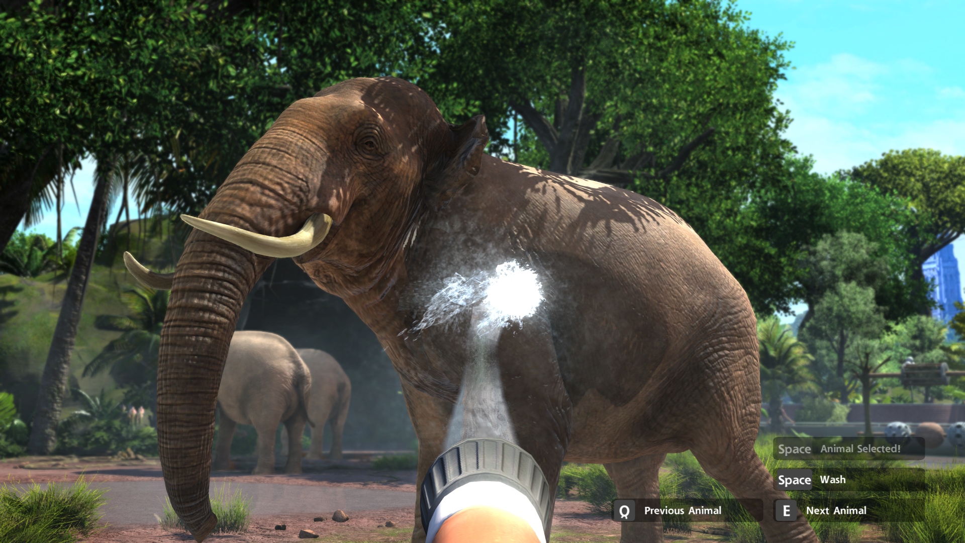 Zoo tycoon 3. Zoo Tycoon Ultimate animal collection. Симулятор слона.